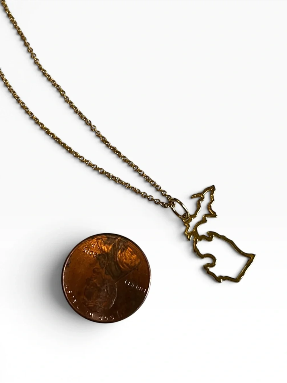 Gold Tone Michigan State Outline Pendant Necklace CC X